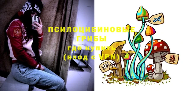 не бодяженный Горнозаводск
