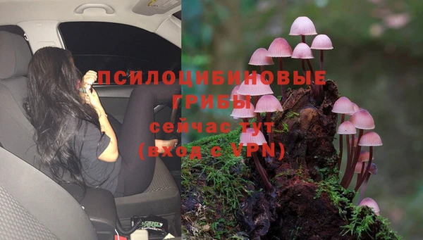 не бодяженный Горнозаводск