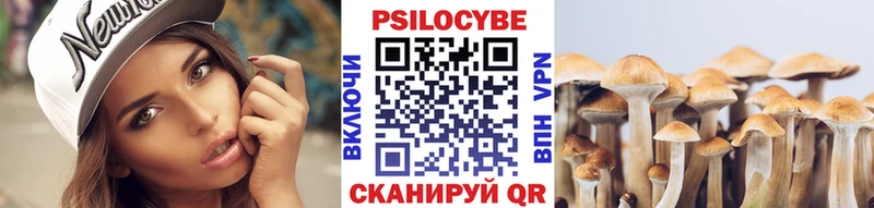 Псилоцибиновые грибы GOLDEN TEACHER  MEGA зеркало  Чердынь 